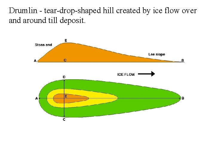Drumlin - tear-drop-shaped hill created by ice flow over and around till deposit. 