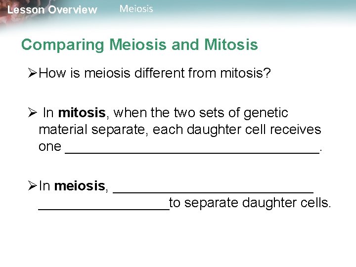 Lesson Overview Meiosis Comparing Meiosis and Mitosis ØHow is meiosis different from mitosis? Ø