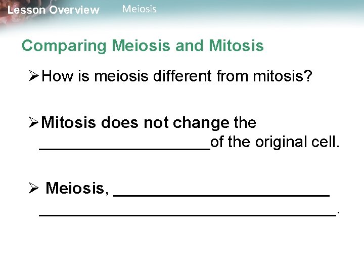 Lesson Overview Meiosis Comparing Meiosis and Mitosis ØHow is meiosis different from mitosis? ØMitosis