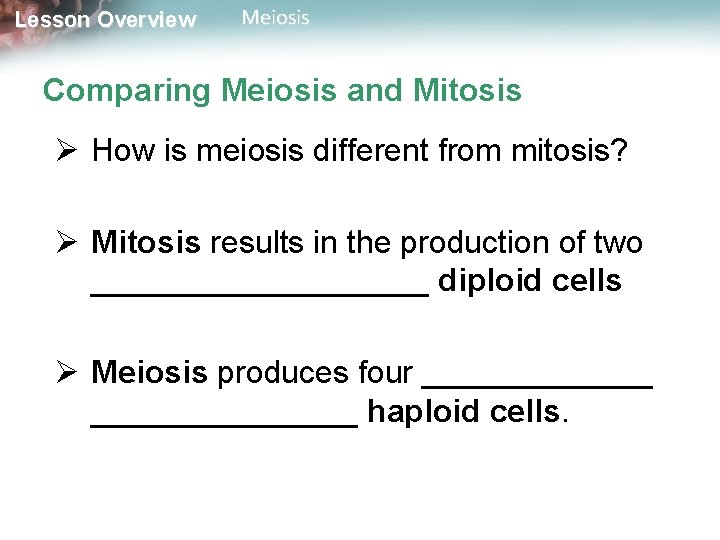 Lesson Overview Meiosis Comparing Meiosis and Mitosis Ø How is meiosis different from mitosis?