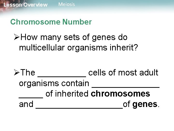 Lesson Overview Meiosis Chromosome Number ØHow many sets of genes do multicellular organisms inherit?