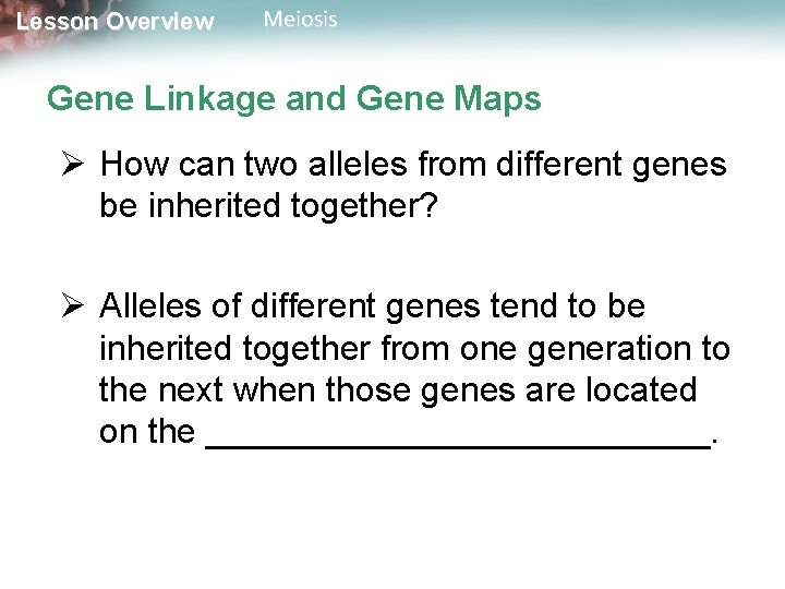 Lesson Overview Meiosis Gene Linkage and Gene Maps Ø How can two alleles from