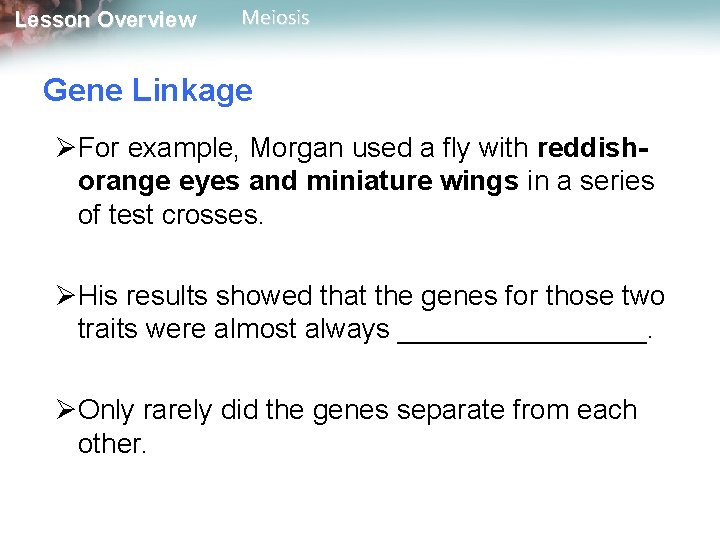 Lesson Overview Meiosis Gene Linkage ØFor example, Morgan used a fly with reddishorange eyes