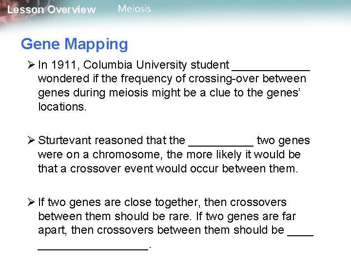 Lesson Overview Meiosis Gene Mapping Ø In 1911, Columbia University student ______ wondered if