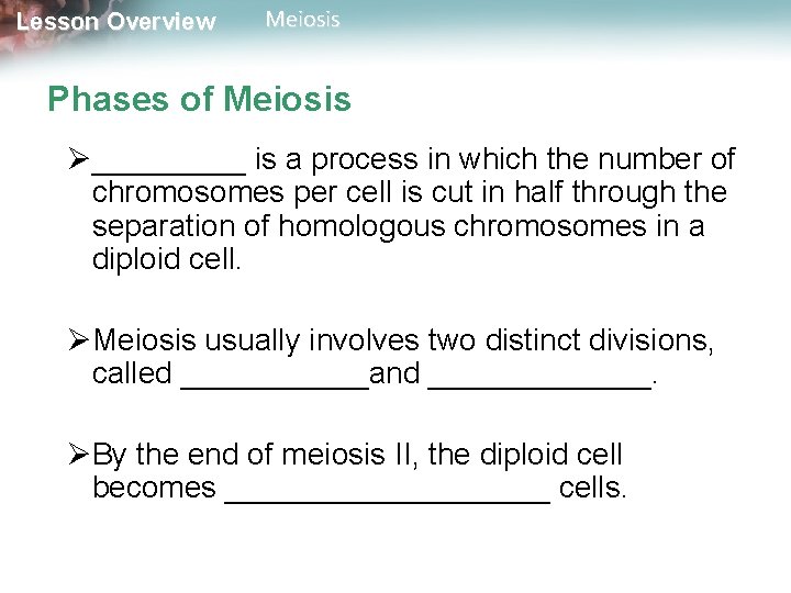 Lesson Overview Meiosis Phases of Meiosis Ø_____ is a process in which the number