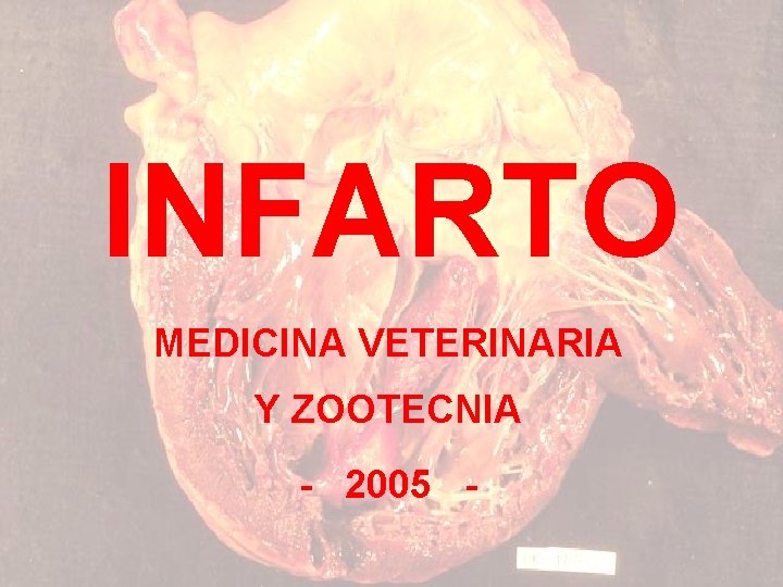 INFARTO MEDICINA VETERINARIA Y ZOOTECNIA - 2005 - 