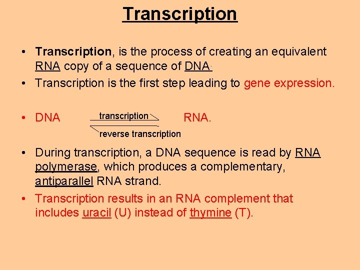 Transcription • Transcription, is the process of creating an equivalent RNA copy of a