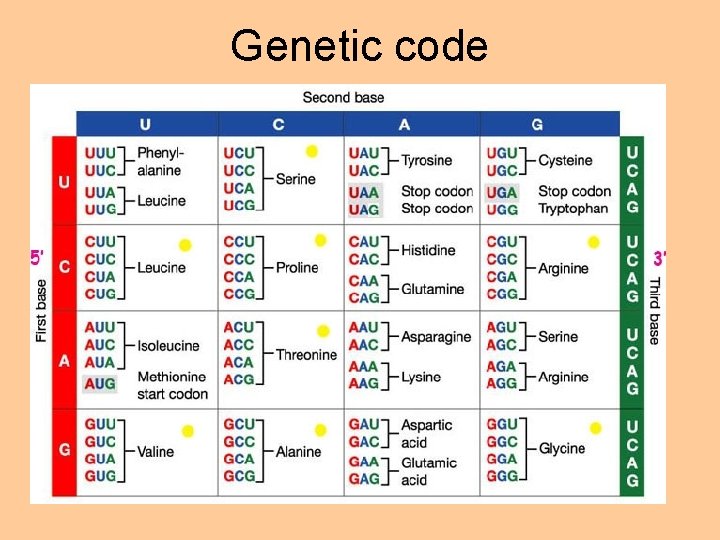 Genetic code 