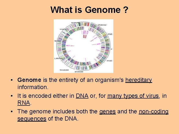 What is Genome ? • Genome is the entirety of an organism's hereditary information.