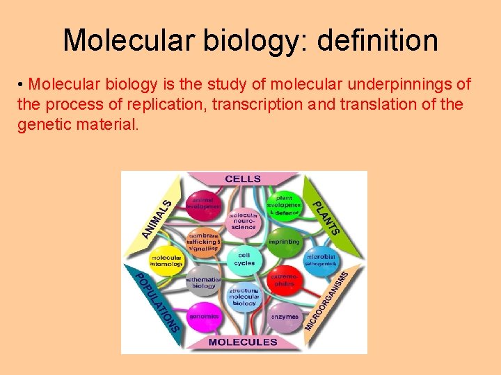 Molecular biology: definition • Molecular biology is the study of molecular underpinnings of the