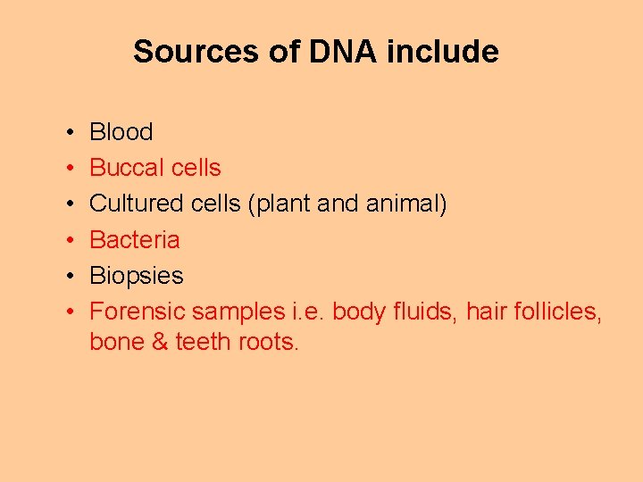 Sources of DNA include • • • Blood Buccal cells Cultured cells (plant and