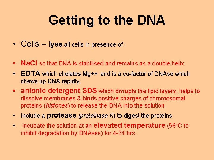 Getting to the DNA • Cells – lyse all cells in presence of :