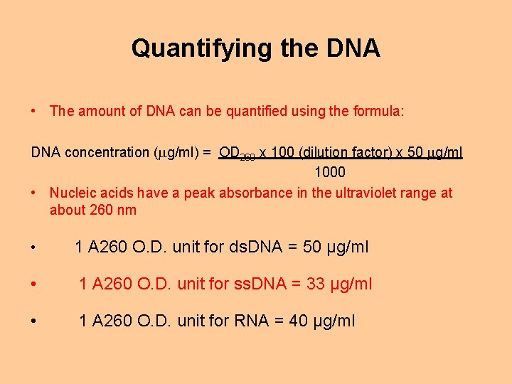 Quantifying the DNA • The amount of DNA can be quantified using the formula:
