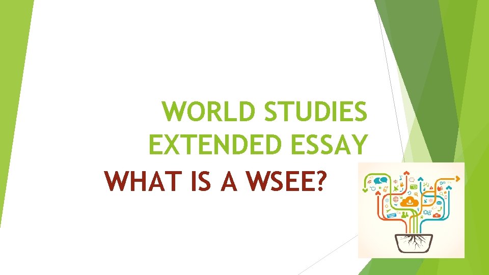 WORLD STUDIES EXTENDED ESSAY WHAT IS A WSEE? 