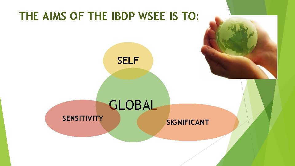 THE AIMS OF THE IBDP WSEE IS TO: SELF GLOBAL SENSITIVITY SIGNIFICANT 