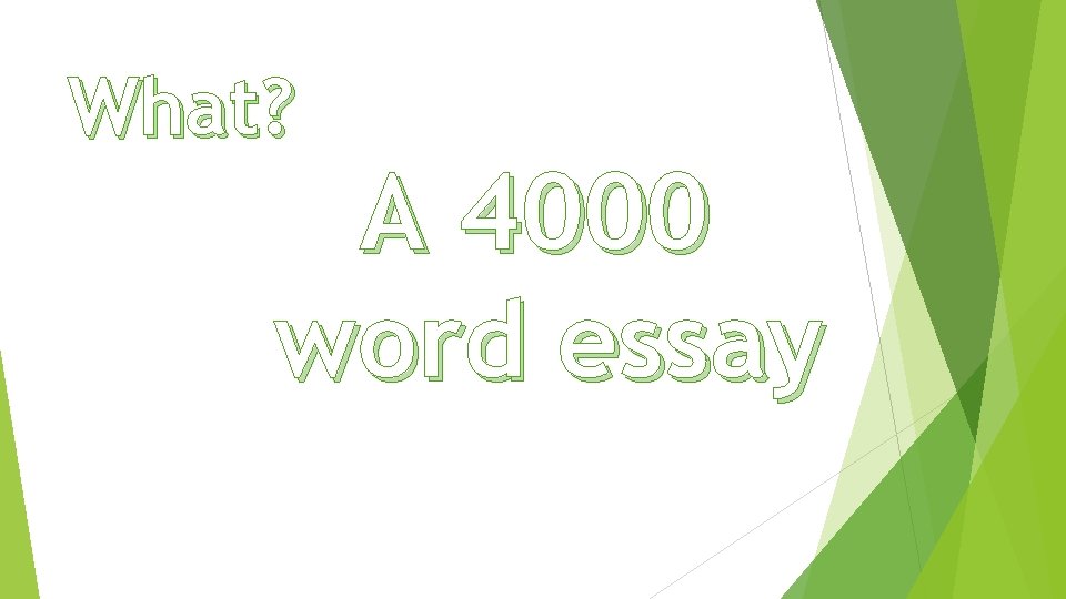 What? A 4000 word essay 