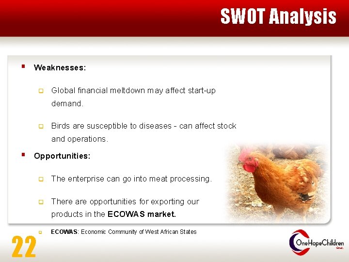 SWOT Analysis § Weaknesses: q Global financial meltdown may affect start-up demand. q Birds