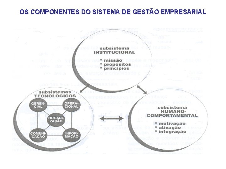 OS COMPONENTES DO SISTEMA DE GESTÃO EMPRESARIAL OS COMPONENTES DO SISTEMA DE GESTÃO EMPRESARIAL