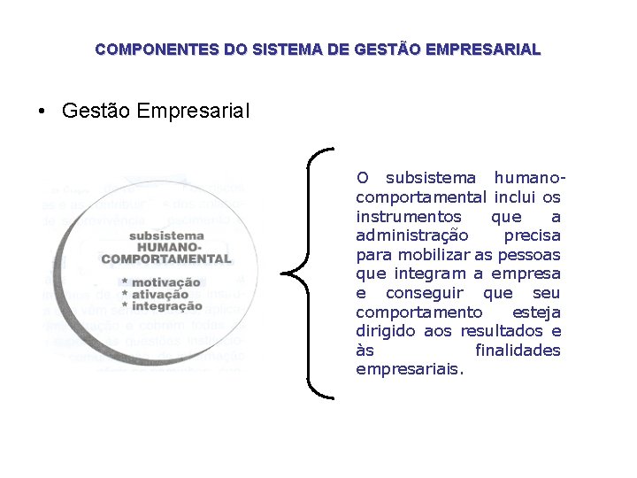 COMPONENTES DO SISTEMA DE GESTÃO EMPRESARIAL • Gestão Empresarial O subsistema humanocomportamental inclui os COMPONENTES DO SISTEMA DE GESTÃO EMPRESARIAL • Gestão Empresarial O subsistema humanocomportamental inclui os