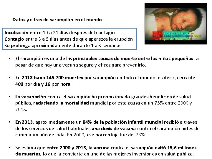 Datos y cifras de sarampión en el mundo Incubación entre 10 a 21 días