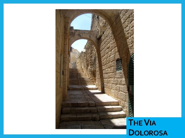 THE VIA DOLOROSA 