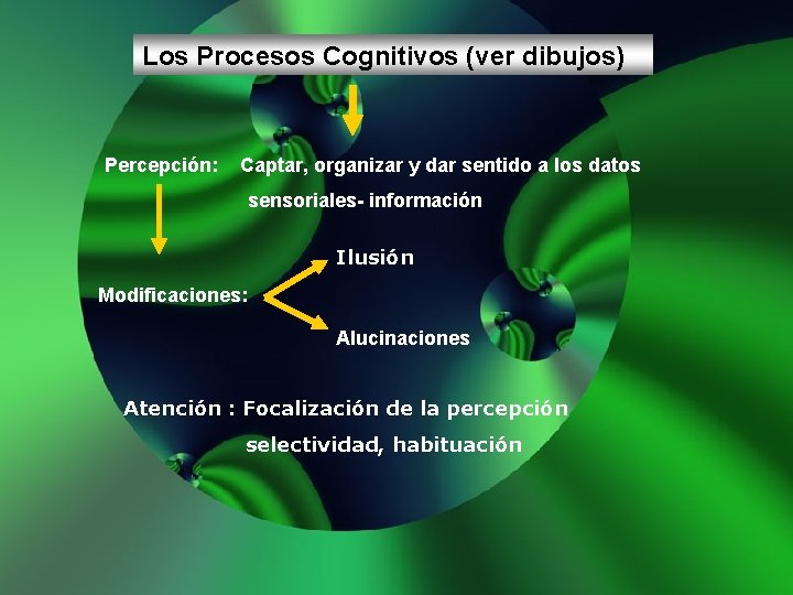 Los Procesos Cognitivos (ver dibujos) Percepción: Captar, organizar y dar sentido a los datos