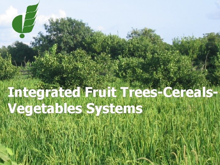 Integrated Fruit Trees-Cereals. Vegetables Systems 