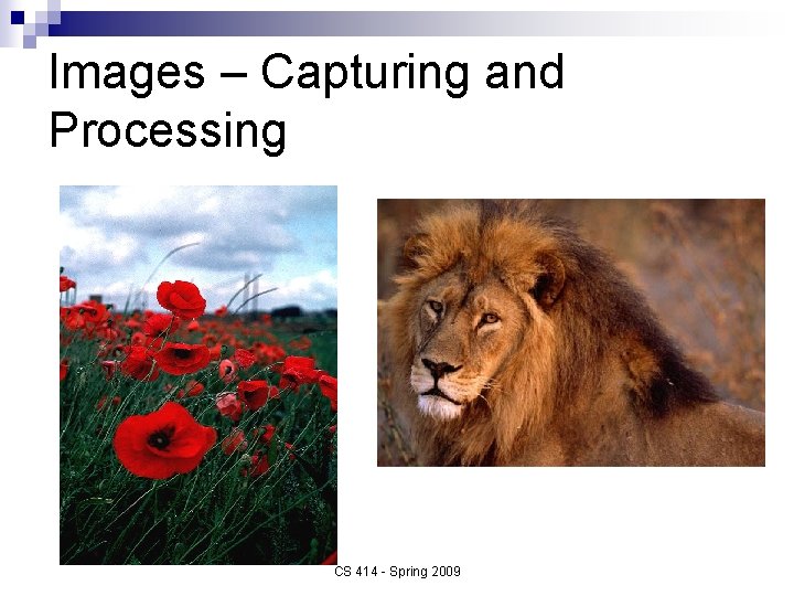 Images – Capturing and Processing CS 414 - Spring 2009 