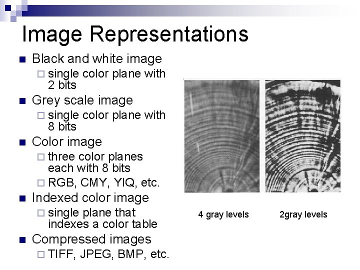 Image Representations n Black and white image ¨ single 2 bits n Grey scale