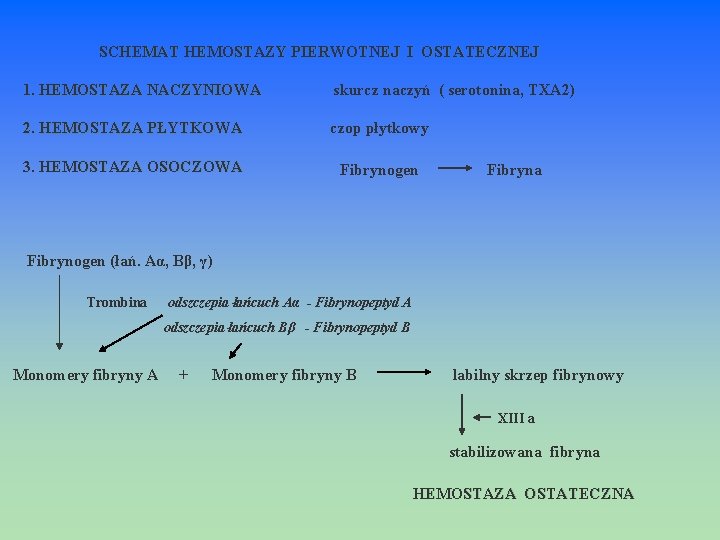  SCHEMAT HEMOSTAZY PIERWOTNEJ I OSTATECZNEJ 1. HEMOSTAZA NACZYNIOWA skurcz naczyń ( serotonina, TXA