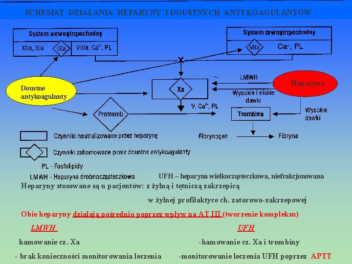  SCHEMAT DZIAŁANIA HEPARYNY I DOUSTNYCH ANTYKOAGULANTÓW Heparyna Doustne antykoagulanty UFH – heparyna wielkocząsteczkowa,