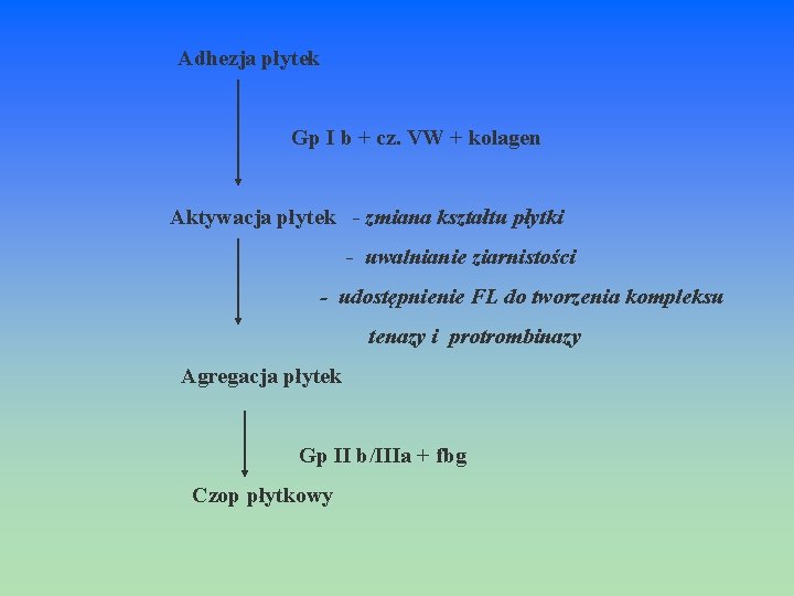  Adhezja płytek Gp I b + cz. VW + kolagen Aktywacja płytek -