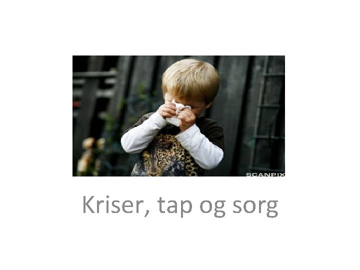 Kriser, tap og sorg 