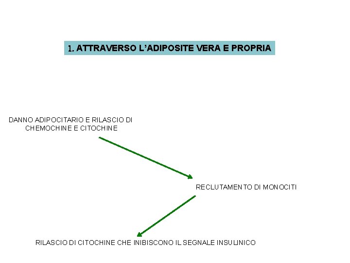 1. ATTRAVERSO L’ADIPOSITE VERA E PROPRIA DANNO ADIPOCITARIO E RILASCIO DI CHEMOCHINE E CITOCHINE