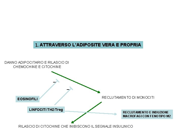 1. ATTRAVERSO L’ADIPOSITE VERA E PROPRIA DANNO ADIPOCITARIO E RILASCIO DI CHEMOCHINE E CITOCHINE