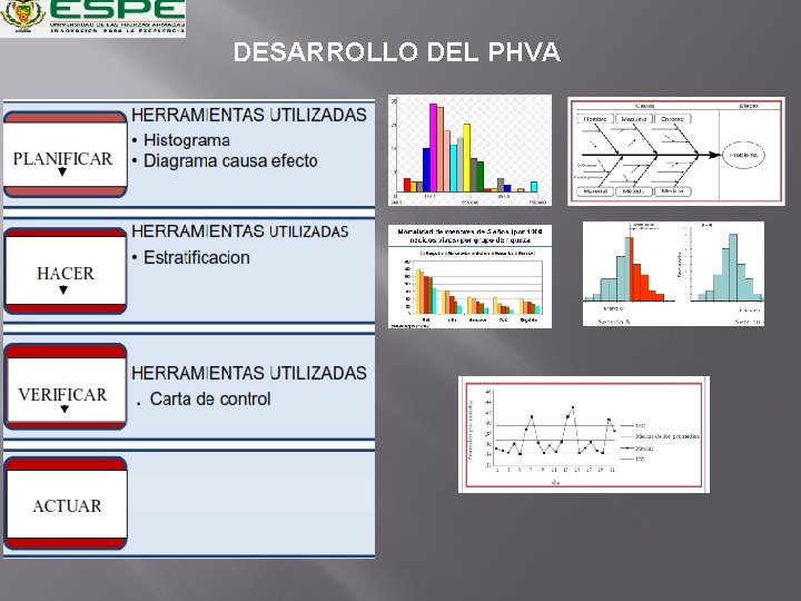 DESARROLLO DEL PHVA 
