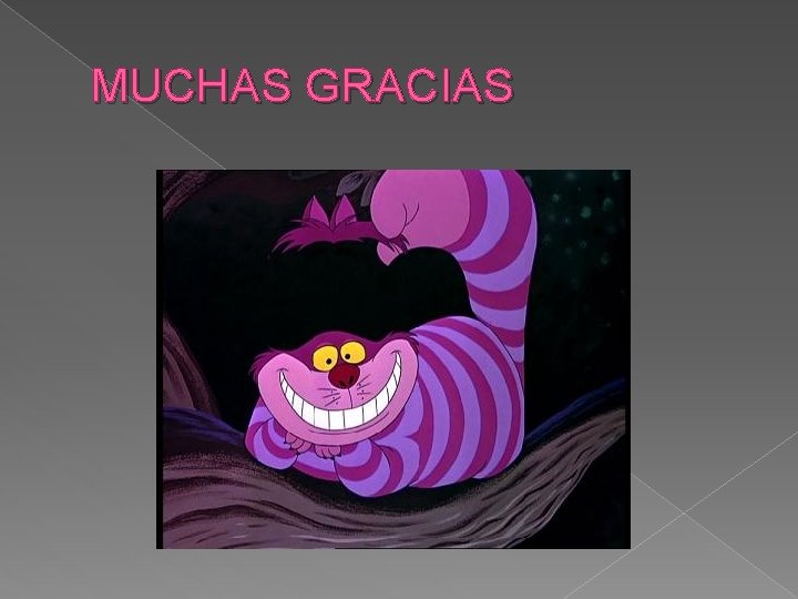 MUCHAS GRACIAS MUCHAS GRACIAS
