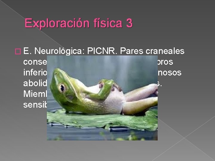Exploración física 3 � E. Neurológica: PICNR. Pares craneales conservados. Paraplejia de miembros inferiores, Exploración física 3 � E. Neurológica: PICNR. Pares craneales conservados. Paraplejia de miembros inferiores,