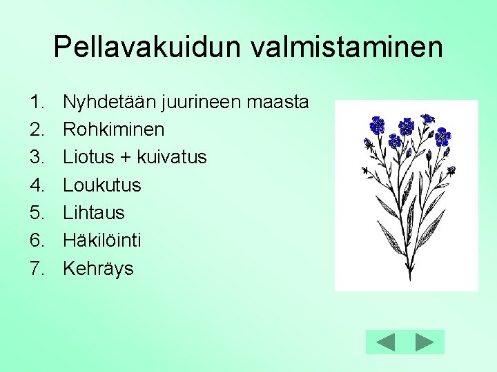 Pellavakuidun valmistaminen 1. 2. 3. 4. 5. 6. 7. Nyhdetään juurineen maasta Rohkiminen Liotus