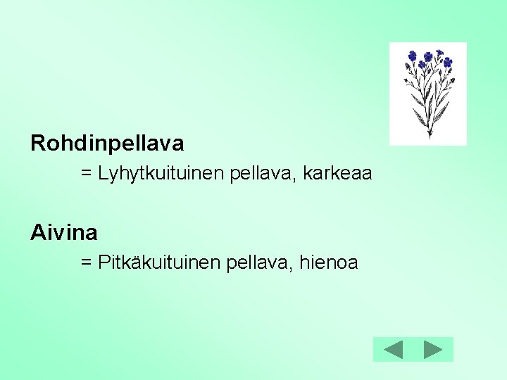 Rohdinpellava = Lyhytkuituinen pellava, karkeaa Aivina = Pitkäkuituinen pellava, hienoa 