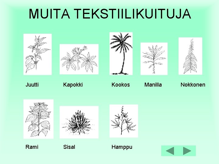 MUITA TEKSTIILIKUITUJA Juutti Kapokki Kookos Rami Sisal Hamppu Manilla Nokkonen 