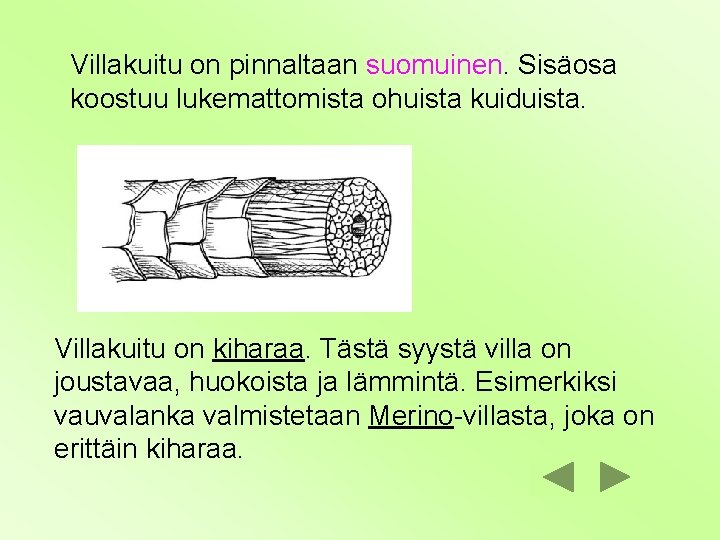 Villakuitu on pinnaltaan suomuinen. Sisäosa koostuu lukemattomista ohuista kuiduista. Villakuitu on kiharaa. Tästä syystä