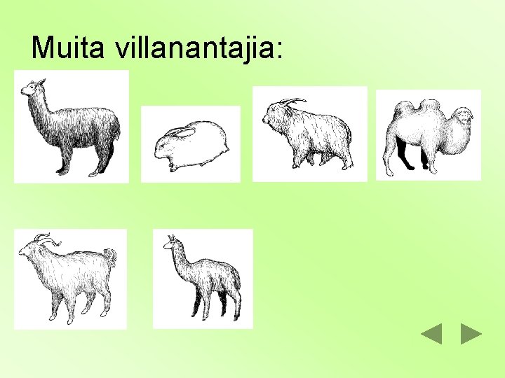Muita villanantajia: 