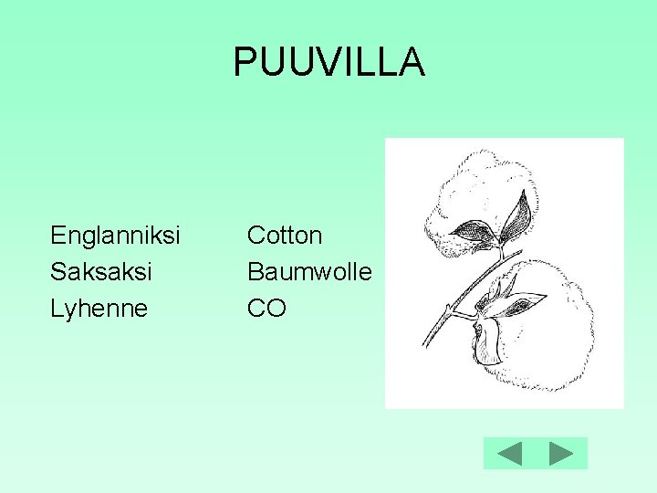 PUUVILLA Englanniksi Saksaksi Lyhenne Cotton Baumwolle CO 