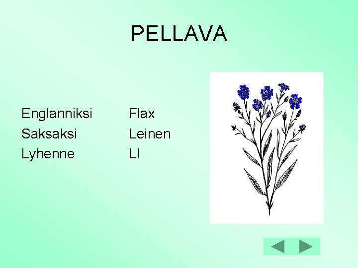 PELLAVA Englanniksi Saksaksi Lyhenne Flax Leinen LI 