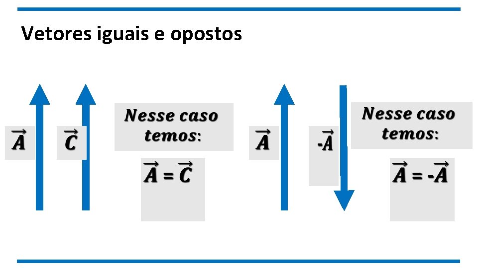 Vetores iguais e opostos 