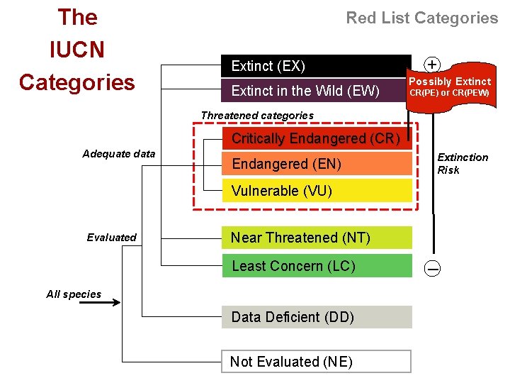 The IUCN Categories Red List Categories Extinct (EX) Extinct in the Wild (EW) +