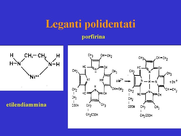 Leganti polidentati porfirina etilendiammina 