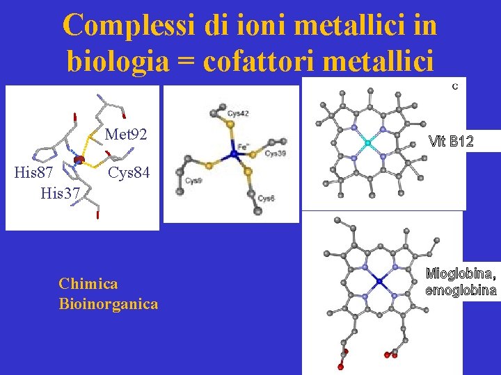 Complessi di ioni metallici in biologia = cofattori metallici Met 92 His 87 His
