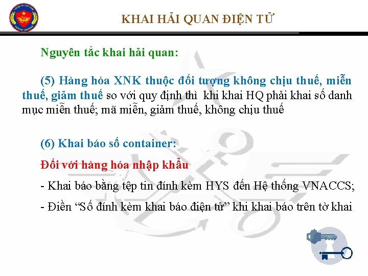 KHAI HẢI QUAN ĐIỆN TỬ Nguyên tắc khai hải quan: (5) Hàng hóa XNK